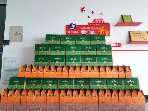 顺佳物流员工活动